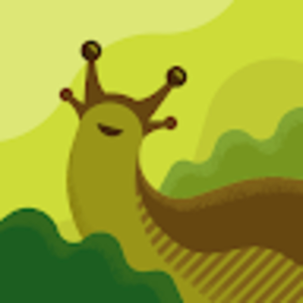 Meet your Posher, Araceli